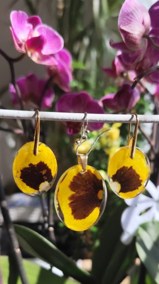 Conjunto pensamientos amarillos