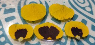 Conjunto pensamientos amarillos