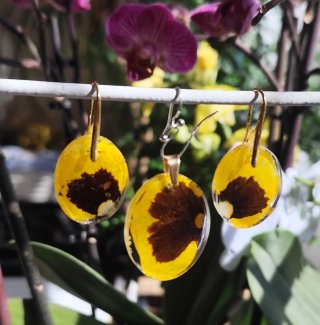 Conjunto pensamientos amarillos
