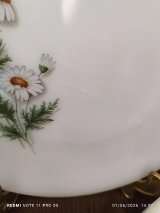 Vajilla Arcopal Vintage Flores