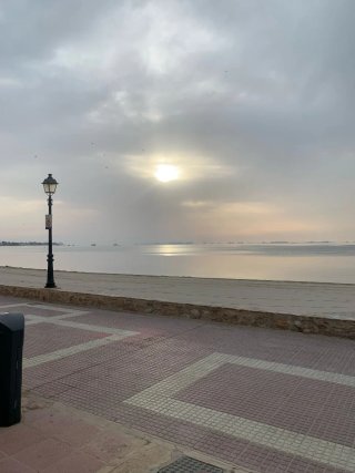 Alquilar casa