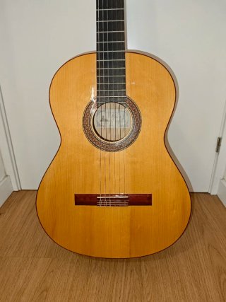 Guitarra Flamenca Paco Castillo 211F