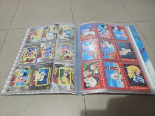 Lote Dragon Ball Z y GT Panini Completos español