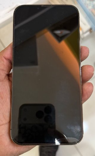 iPhone 13 Pro Max 512GB Grigio Siderale
