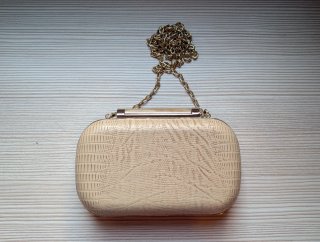 Bolso fiesta clutch nude
