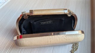 Bolso fiesta clutch nude