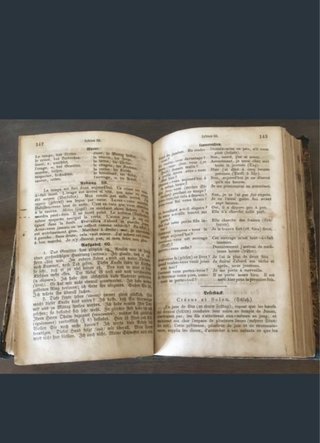 Libro antico 1865 Dr. Emil Otto Grammatica
