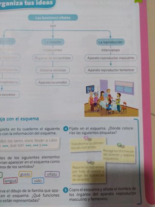 Ciencias de la naturaleza, 3 Primaria, Comunida...