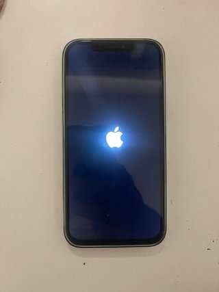 iPhone 12 Pro Max 256GB