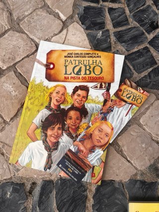 Livro juvenil de mistério e aventura como novo