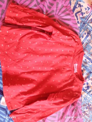 Lote 3 Camisetas Manga Larga talla: 18/24 meses