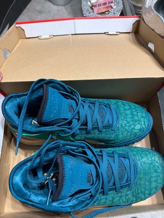 Nike Zoom Lebron NXXT Gen Geode