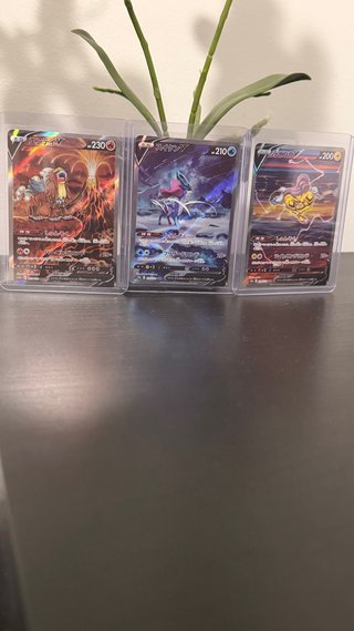 Trío de perros legendarios Pokémon JAPONES