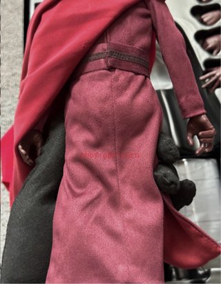 Star Wars Royal Guard Hot Toys Figura Coleccionabl