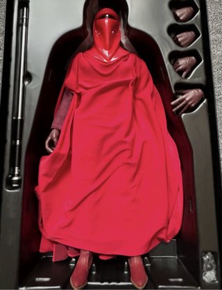 Star Wars Royal Guard Hot Toys Figura Coleccionabl