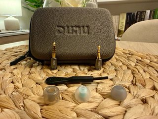 Dunu 142 IEM Auriculares