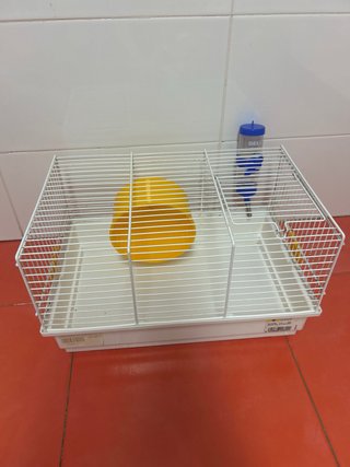Jaula para hámster con accesorios