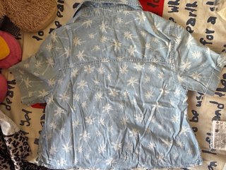 Camiseta Hollister palmeras XS