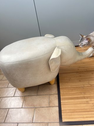 Pouf Elefante Beige Pelle Sintetica
