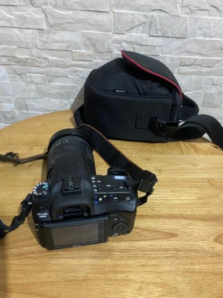 Sony DSLR-A350 + Sigma 28-200mm