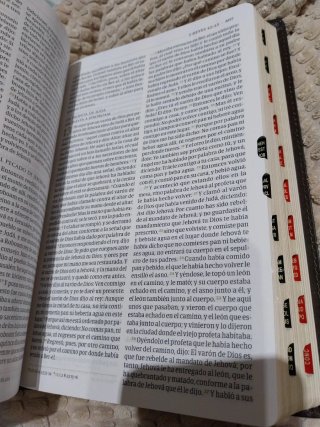 Rvr 1960 Biblia Temática de Estudio, Marrón Osc...