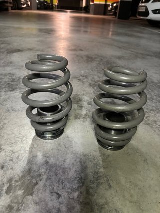 Muelles Traseros BMW E46