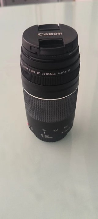 Kit Canon EOS 1200D con 2 Lentes