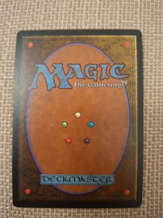Magic The Gathering Muro d'Ossa MTG Carta