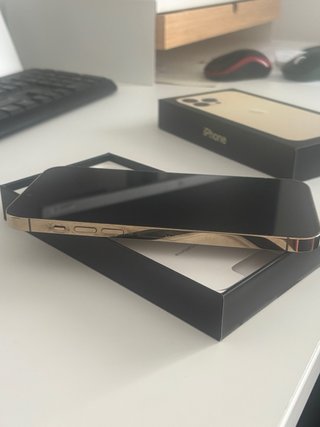 iPhone 13 Pro Max Dorato