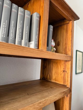 Mueble de salón madera maciza rústico