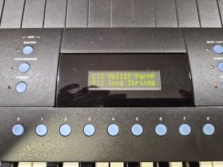 Sintetizador Emu Proteus Plus Orchestral