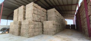 Pacas de Veza para Forraje