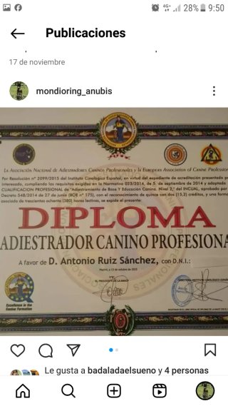Adiestramiento Canino Anubis