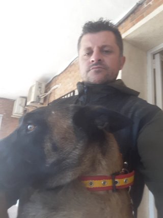 Adiestramiento Canino Anubis