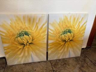 Pack 2 Cuadros Flor Amarilla Ikea