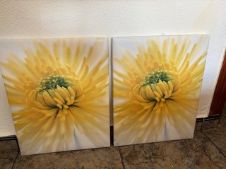 Pack 2 Cuadros Flor Amarilla Ikea