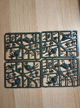 Middle-earth Strategy Battle Game: Orcos