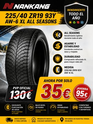 Neumático Nankang AW-6 225/40 R19 93Y XL
