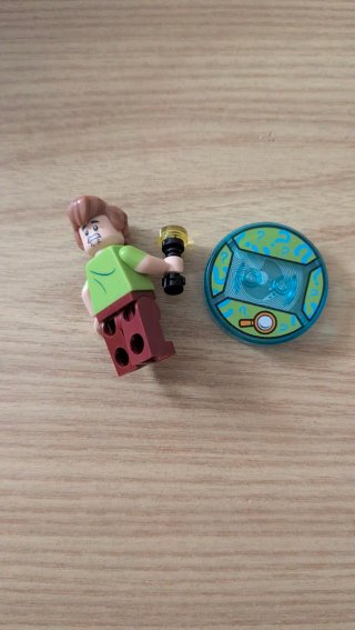 Lego Shaggy & Scooby Doo
