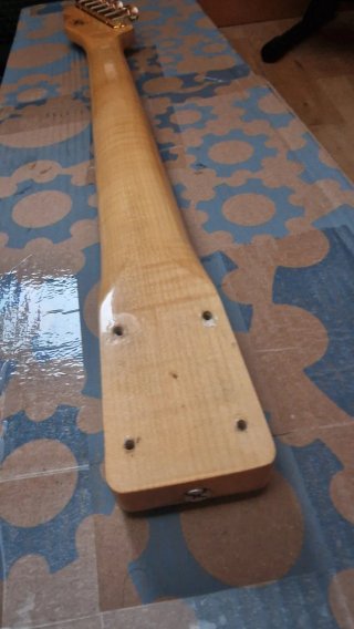HOY Mástil Telecaster de Luthier +afinadores Gotoh