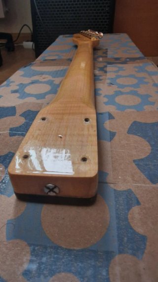 HOY Mástil Telecaster de Luthier +afinadores Gotoh