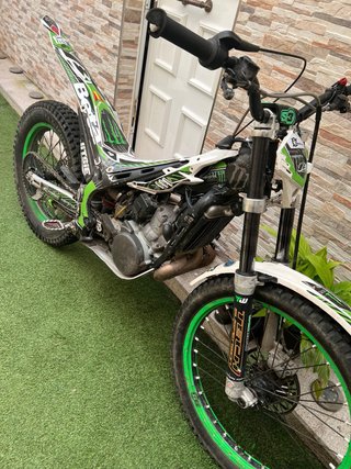 Beta evo 300