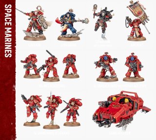 Warhammer Space Marines Figuras Armagedon