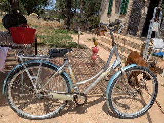 Bicicleta Batavus Blockbuster