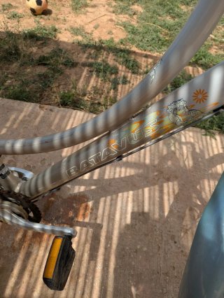 Bicicleta Batavus Blockbuster