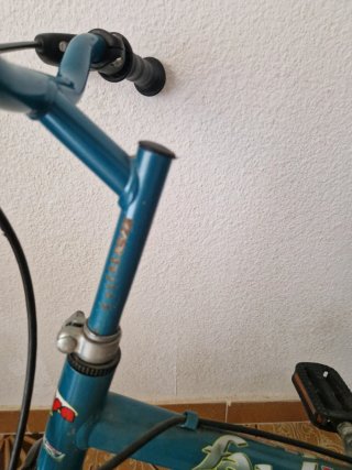 Bicicleta infantil azul