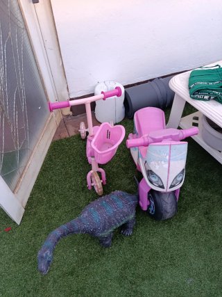 Moto, Patín y Dinosaurio de Juguete