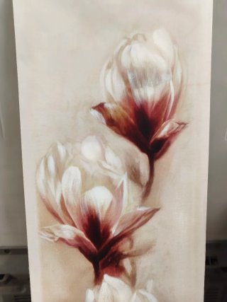 Cuadro Decorativo Magnolias decoración