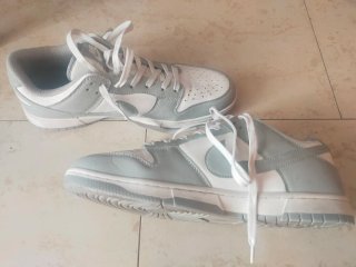 Zapatillas Nike Dunk Gris y Blanco
