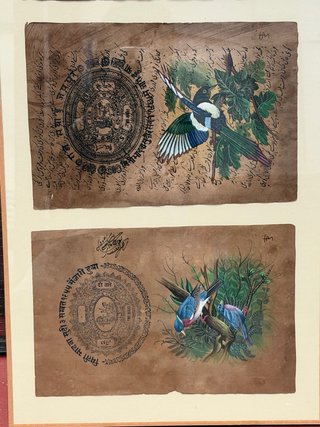 Cuadro Decorativo Francisco Segarra Pájaros